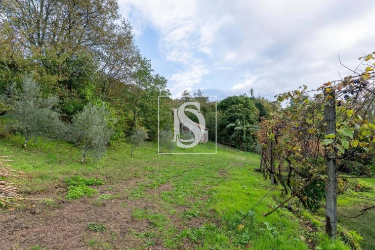 Moradia para Venda em Gouveia (São Simão) Foto 37