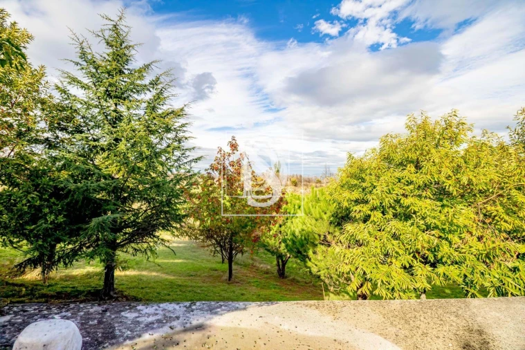 Moradia T1 para Venda em Bustelo, Carneiro e Carvalho de Rei Foto 63