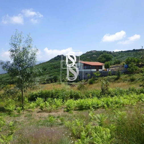 Moradia T1 para Venda em Bustelo, Carneiro e Carvalho de Rei Foto 13