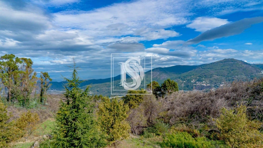 Moradia T1 para Venda em Bustelo, Carneiro e Carvalho de Rei Foto 69