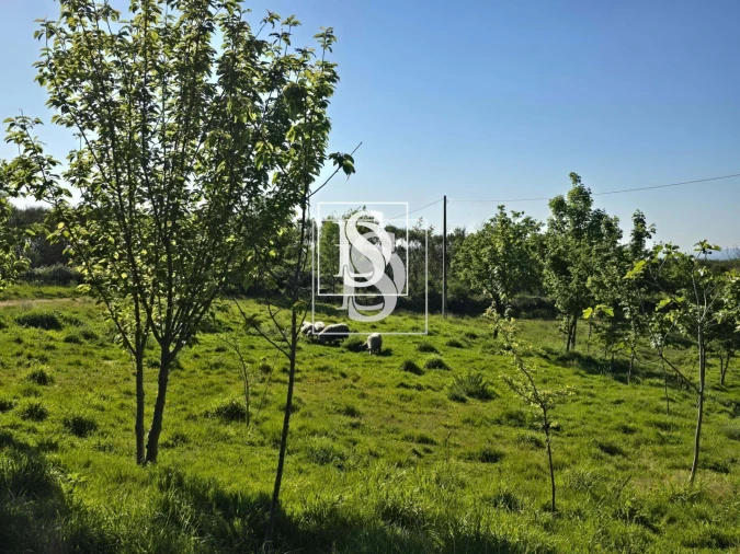 Moradia T1 para Venda em Bustelo, Carneiro e Carvalho de Rei Foto 30