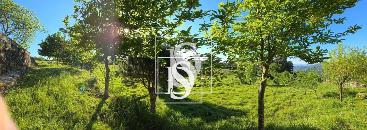 Moradia T1 para Venda em Bustelo, Carneiro e Carvalho de Rei Foto 36