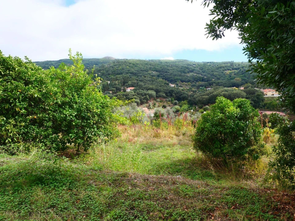 Terreno para Venda em Monchique Foto 14