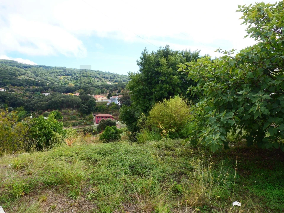 Terreno para Venda em Monchique Foto 12