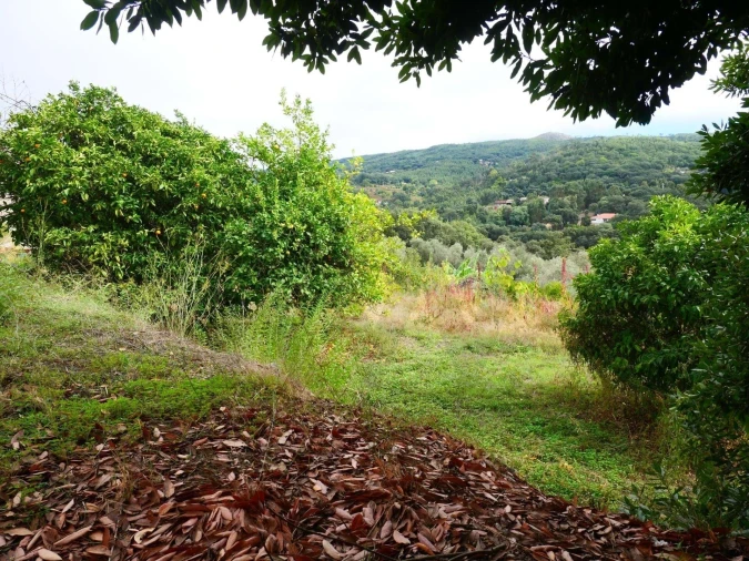 Terreno para Venda em Monchique Foto 11