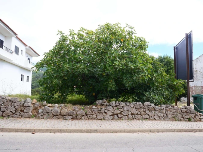 Terreno para Venda em Monchique Foto 9