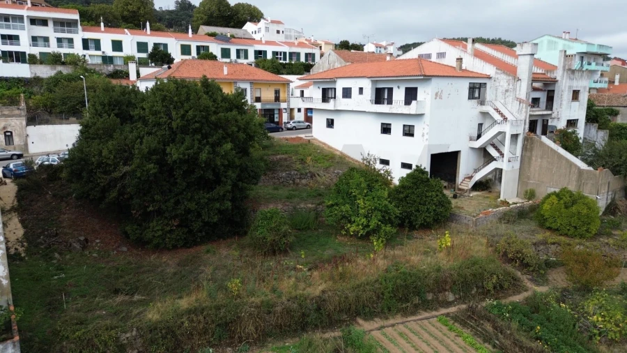 Terreno para Venda em Monchique Foto 3