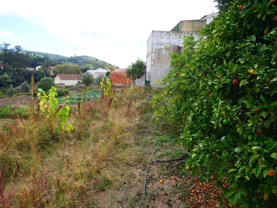 Terreno para Venda em Monchique Foto 19