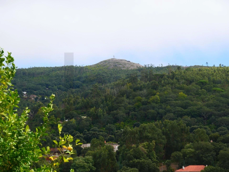 Terreno para Venda em Monchique Foto 13