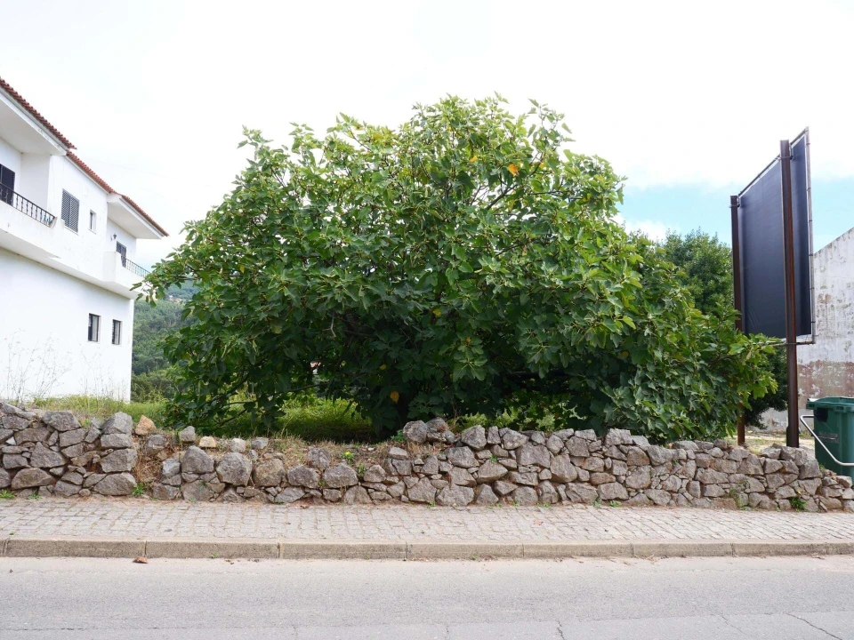 Terreno para Venda em Monchique Foto 9