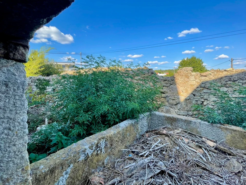 Moradia T0 para Venda em São João de Lourosa Foto 4