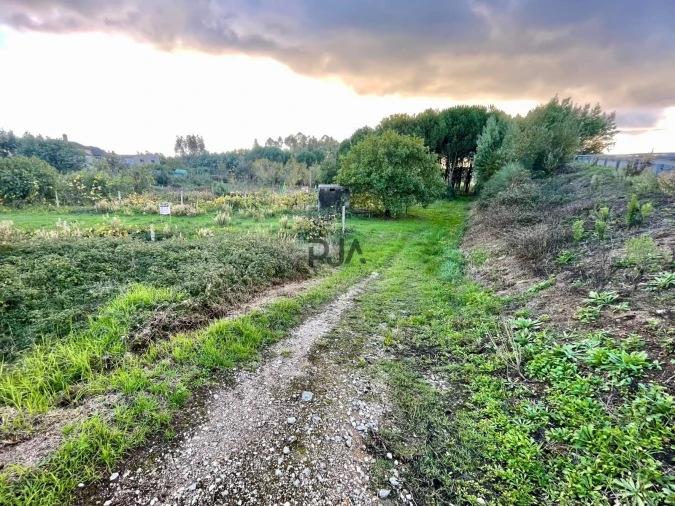 Terreno para Venda em Ovoa e Vimieiro Foto 4