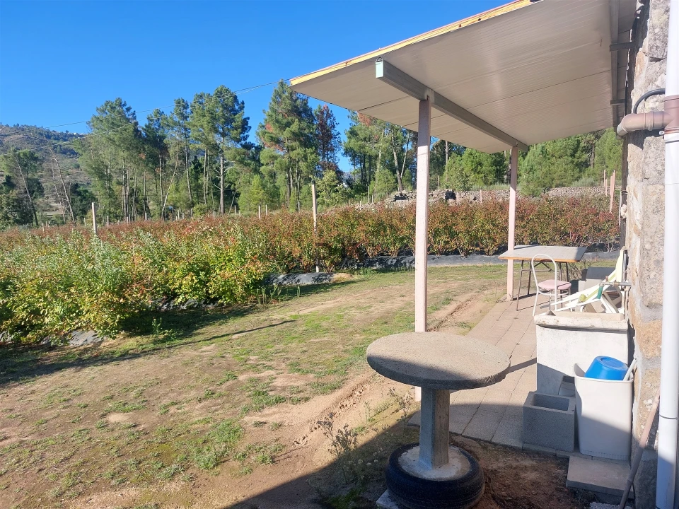 Quinta T0 para Venda em Muxagata Foto 26