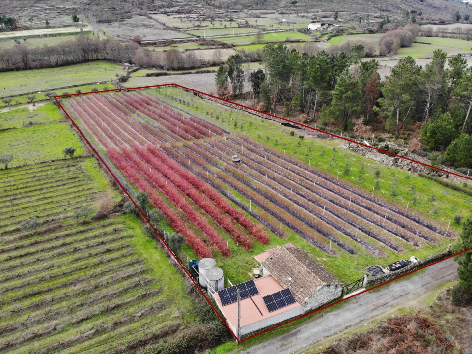 Quinta T0 para Venda em Muxagata Foto 1