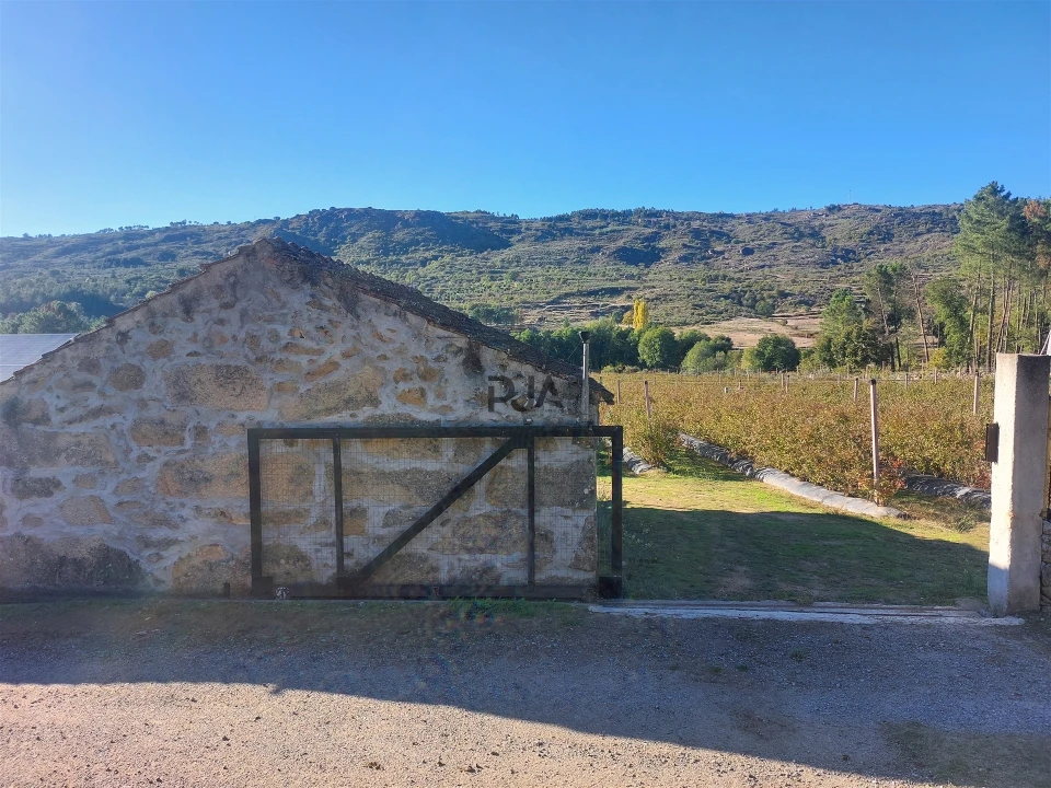 Quinta T0 para Venda em Muxagata Foto 28