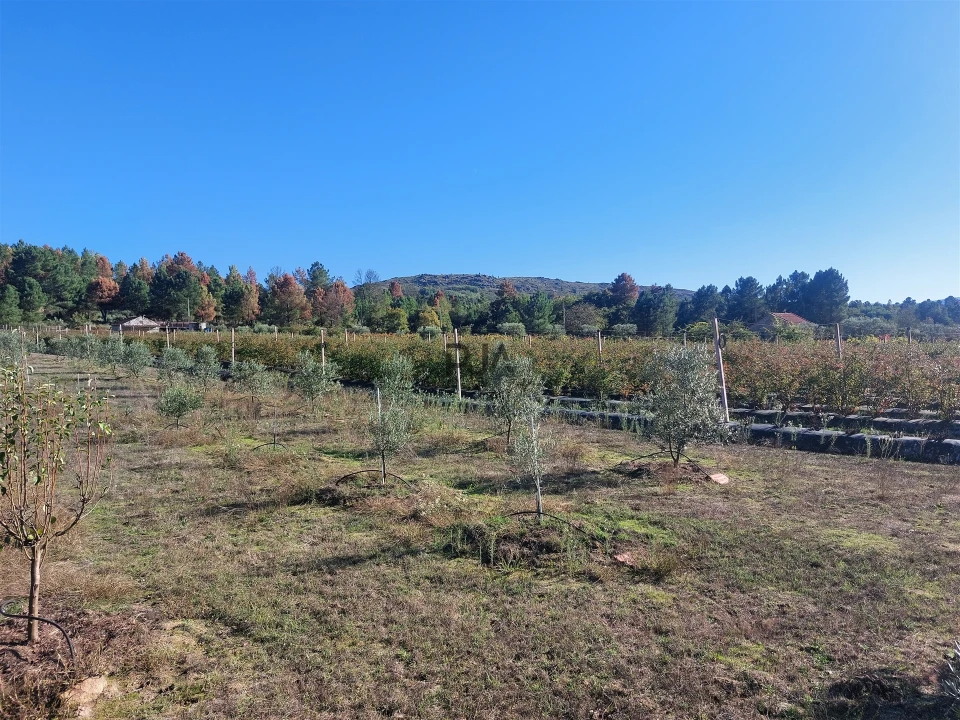 Quinta T0 para Venda em Muxagata Foto 15