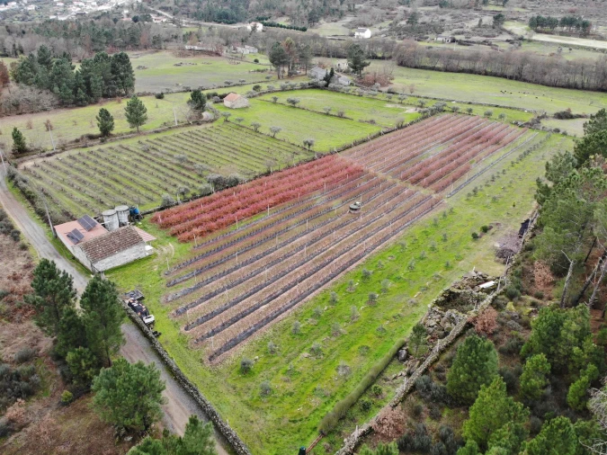 Quinta T0 para Venda em Muxagata Foto 33