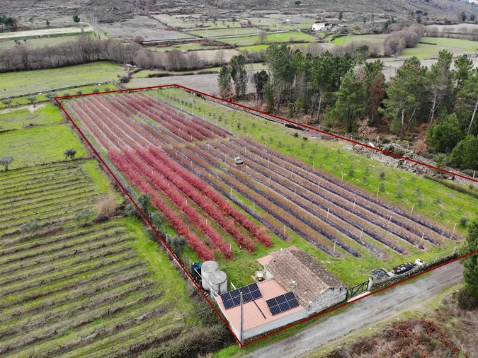 Quinta T0 para Venda em Muxagata Foto 1