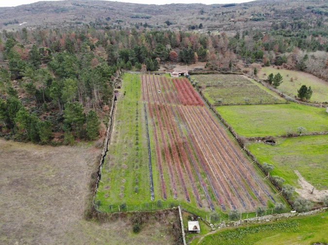 Quinta T0 para Venda em Muxagata Foto 32
