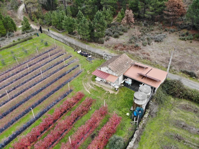 Quinta T0 para Venda em Muxagata Foto 34