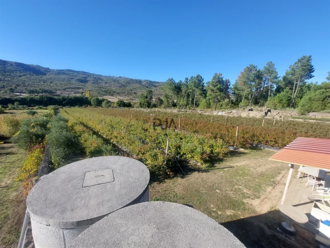 Quinta T0 para Venda em Muxagata Foto 23