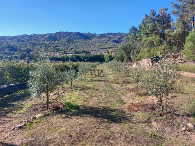 Quinta T0 para Venda em Muxagata Foto 4