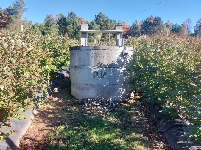 Quinta T0 para Venda em Muxagata Foto 18