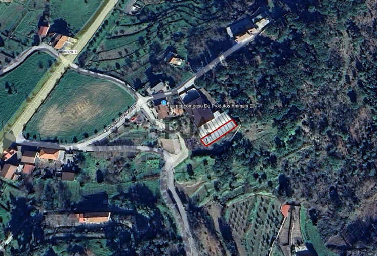 Armazém para Arrendamento em Mangualde, Mesquitela e Cunha Alta Foto 4