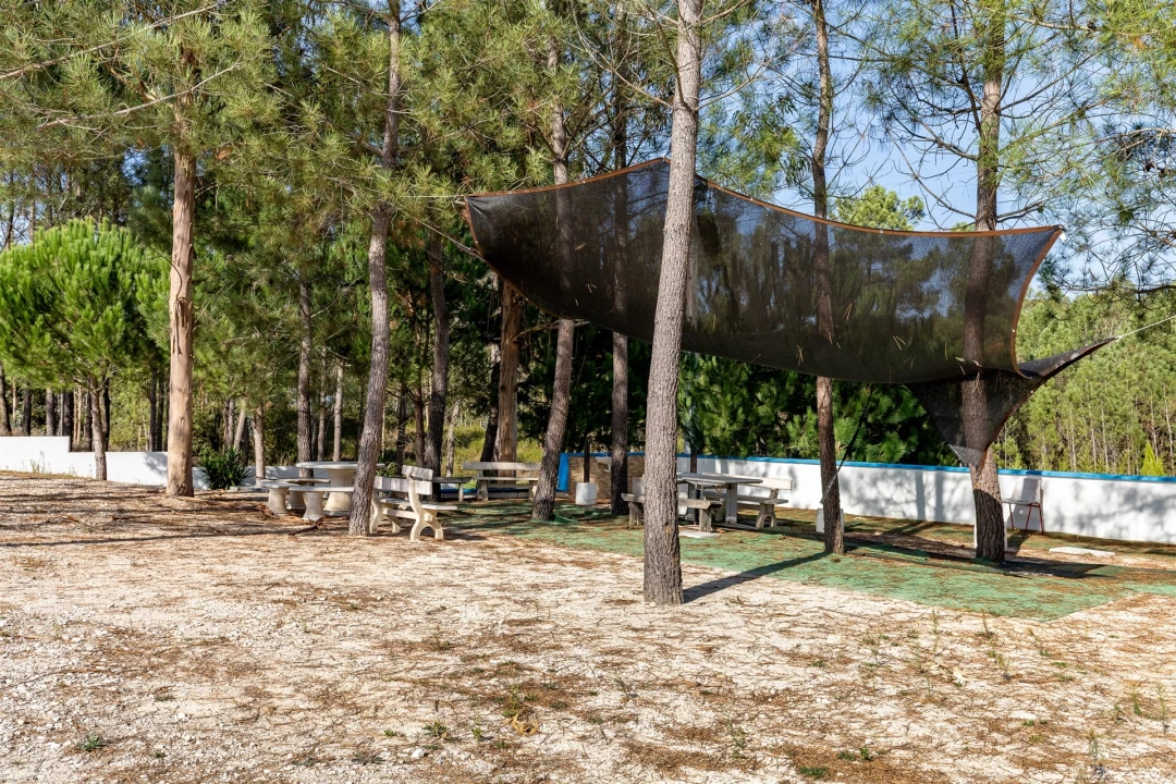 Quinta T0 para Venda em Almagreira Foto 38