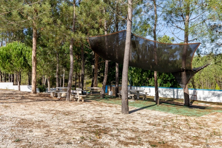 Quinta T0 para Venda em Almagreira Foto 38