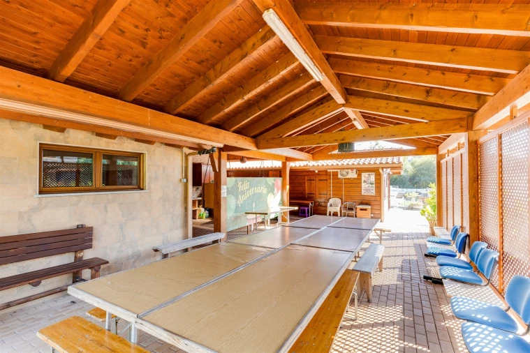 Quinta T0 para Venda em Almagreira Foto 19