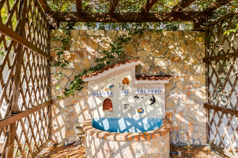 Quinta T0 para Venda em Almagreira Foto 29