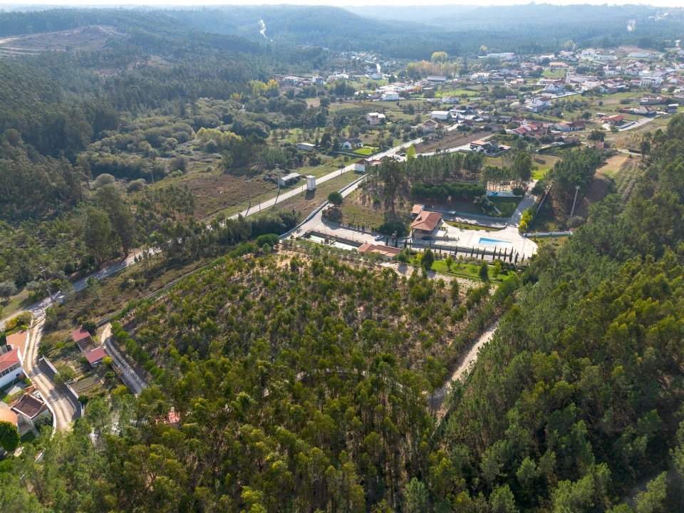 Quinta T0 para Venda em Almagreira Foto 57