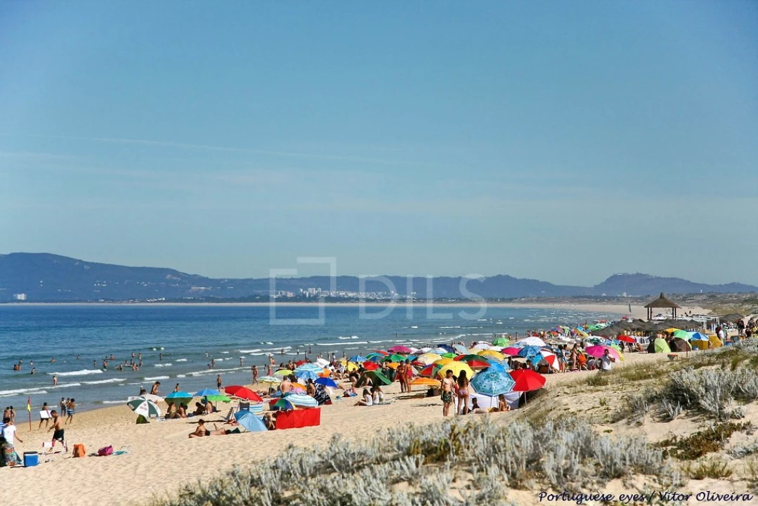 Terreno para Venda em Comporta Foto 10