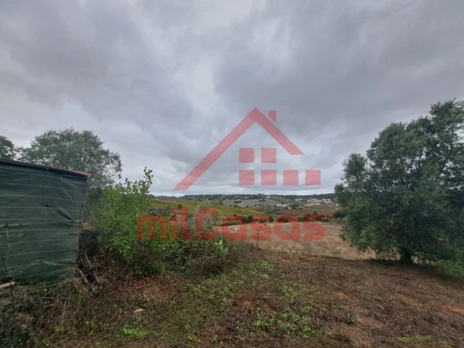 Terreno para Venda em Carvoeira e Carmões Foto 17