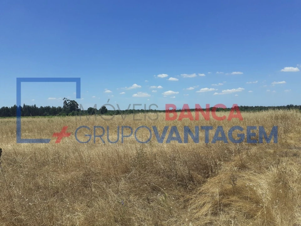 Terreno Agricola ou Rústico para Venda em Alpiarça Foto 3