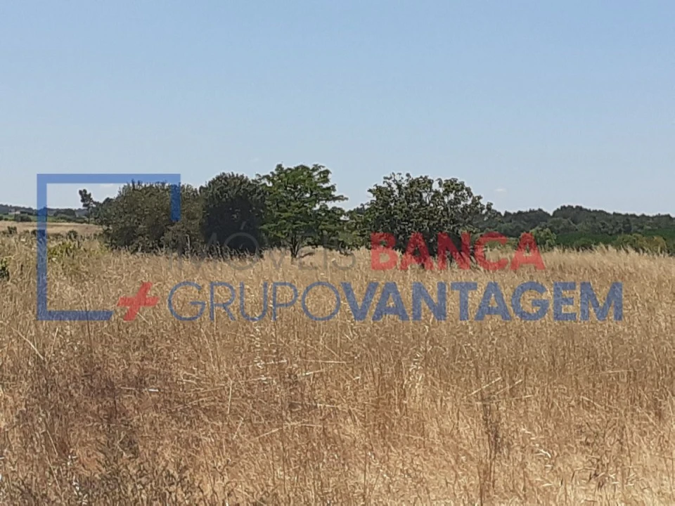 Terreno Agricola ou Rústico para Venda em Alpiarça Foto 5