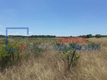 Terreno Agricola ou Rústico para Venda em Alpiarça