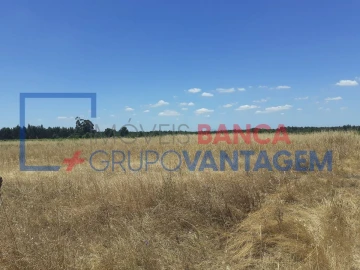 Terreno Agricola ou Rústico para Venda em Alpiarça