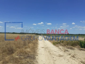 Terreno Agricola ou Rústico para Venda em Alpiarça