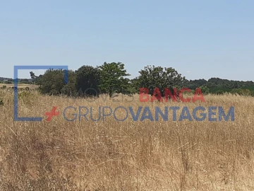 Terreno Agricola ou Rústico para Venda em Alpiarça