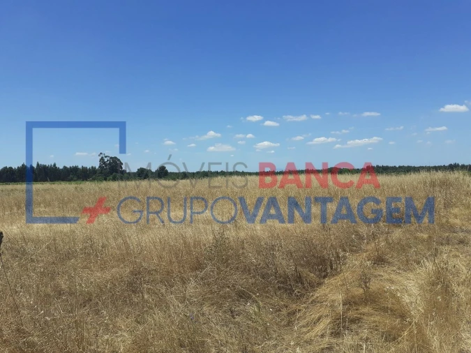 Terreno Agricola ou Rústico para Venda em Alpiarça Foto 3