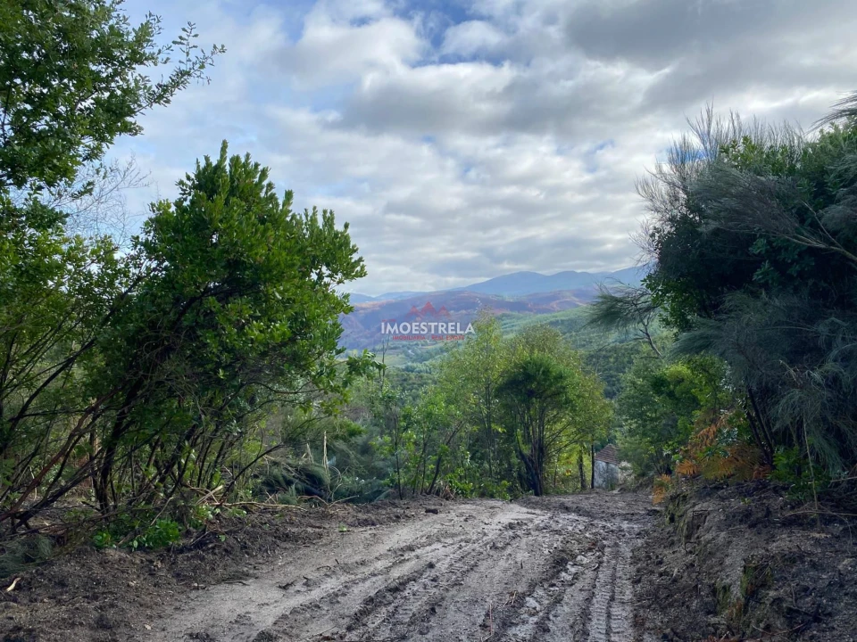 Quinta T0 para Venda em Sandomil Foto 8