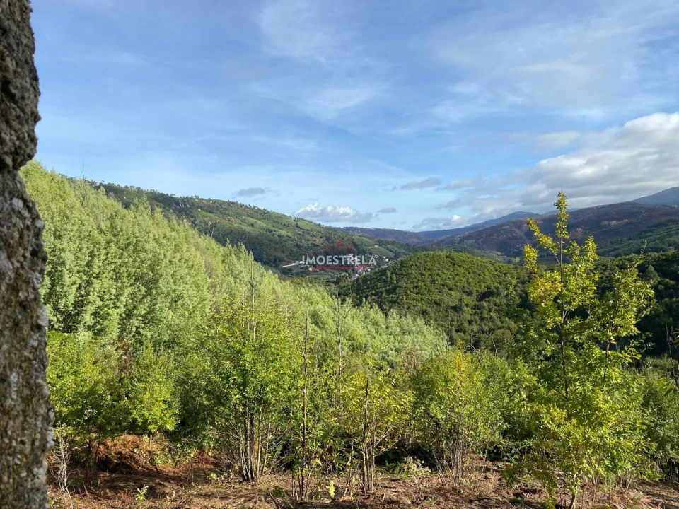 Quinta T0 para Venda em Sandomil Foto 6