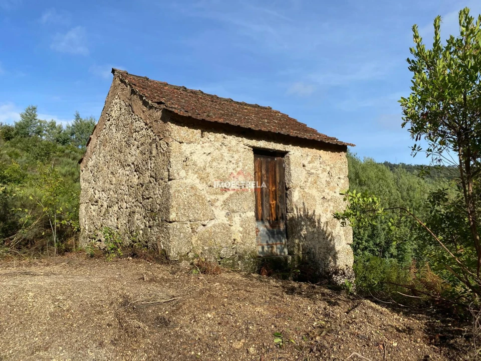 Quinta T0 para Venda em Sandomil Foto 2