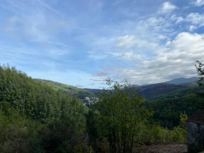 Quinta T0 para Venda em Sandomil Foto 7