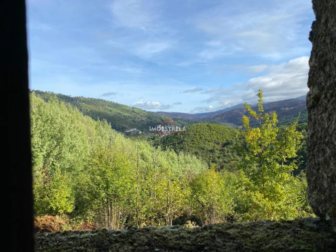 Quinta T0 para Venda em Sandomil Foto 3