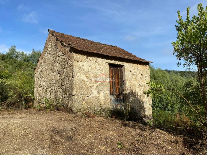 Quinta T0 para Venda em Sandomil Foto 2