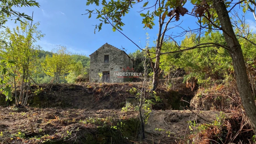 Quinta T0 para Venda em Sandomil