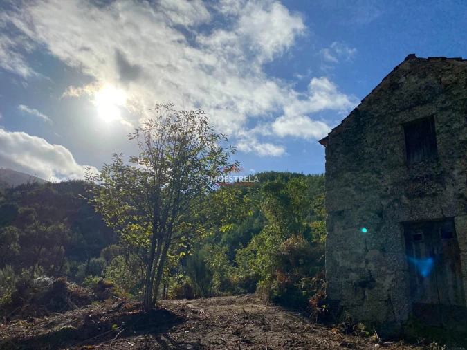 Quinta T0 para Venda em Sandomil Foto 4